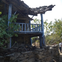 Photo de Turquie - La région de Didim